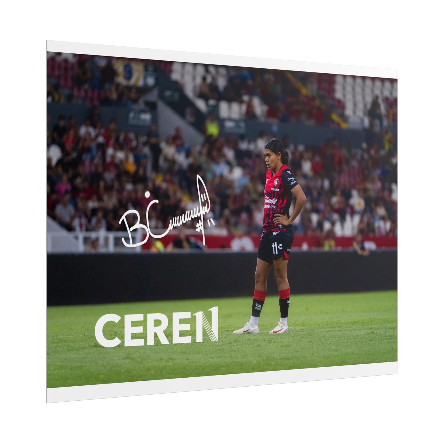 Poster | Motivational Wall Art | CEREN11 | Fan Decor | Unique Gift for Sports Lovers, Collectible Posters, Home Decor