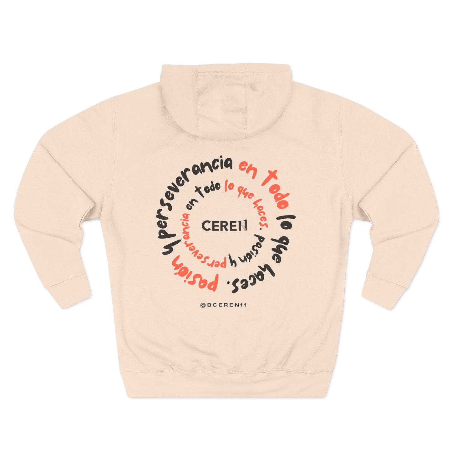 Pasión en todo lo que haces - Inspirational Three-Panel Fleece Hoodie, Perserverance Hoodie, Unisex Apparel