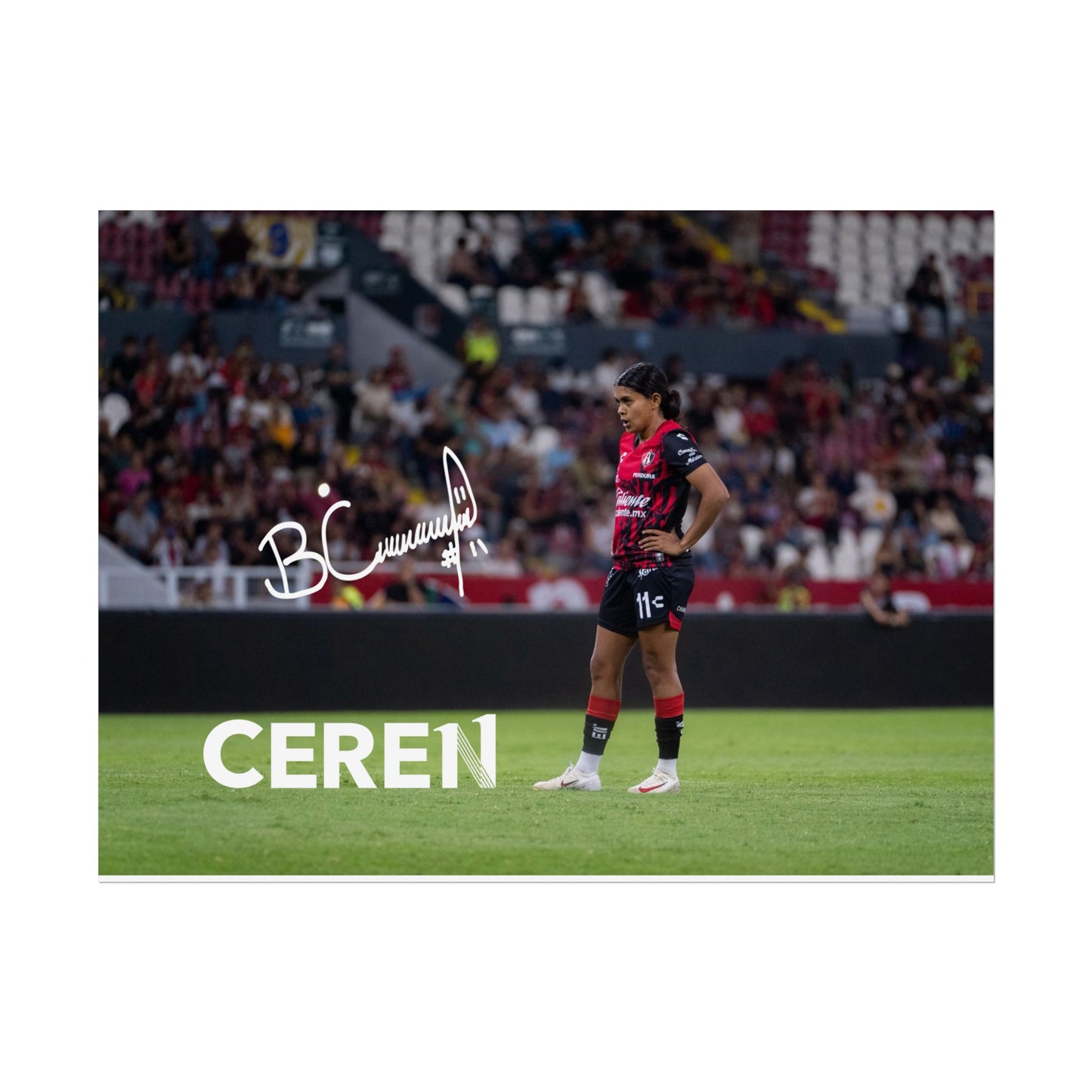 Poster | Motivational Wall Art | CEREN11 | Fan Decor | Unique Gift for Sports Lovers, Collectible Posters, Home Decor