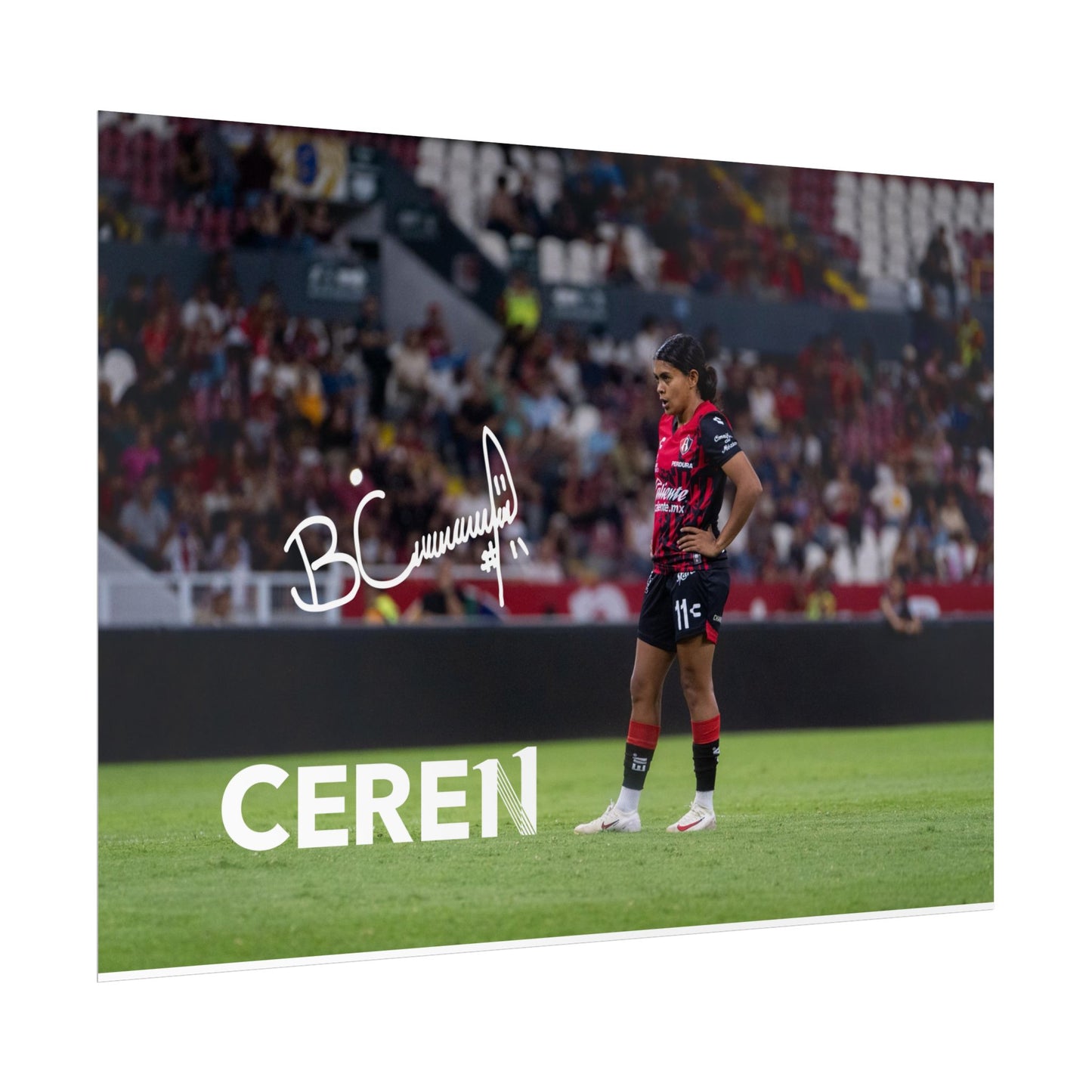 Poster | Motivational Wall Art | CEREN11 | Fan Decor | Unique Gift for Sports Lovers, Collectible Posters, Home Decor