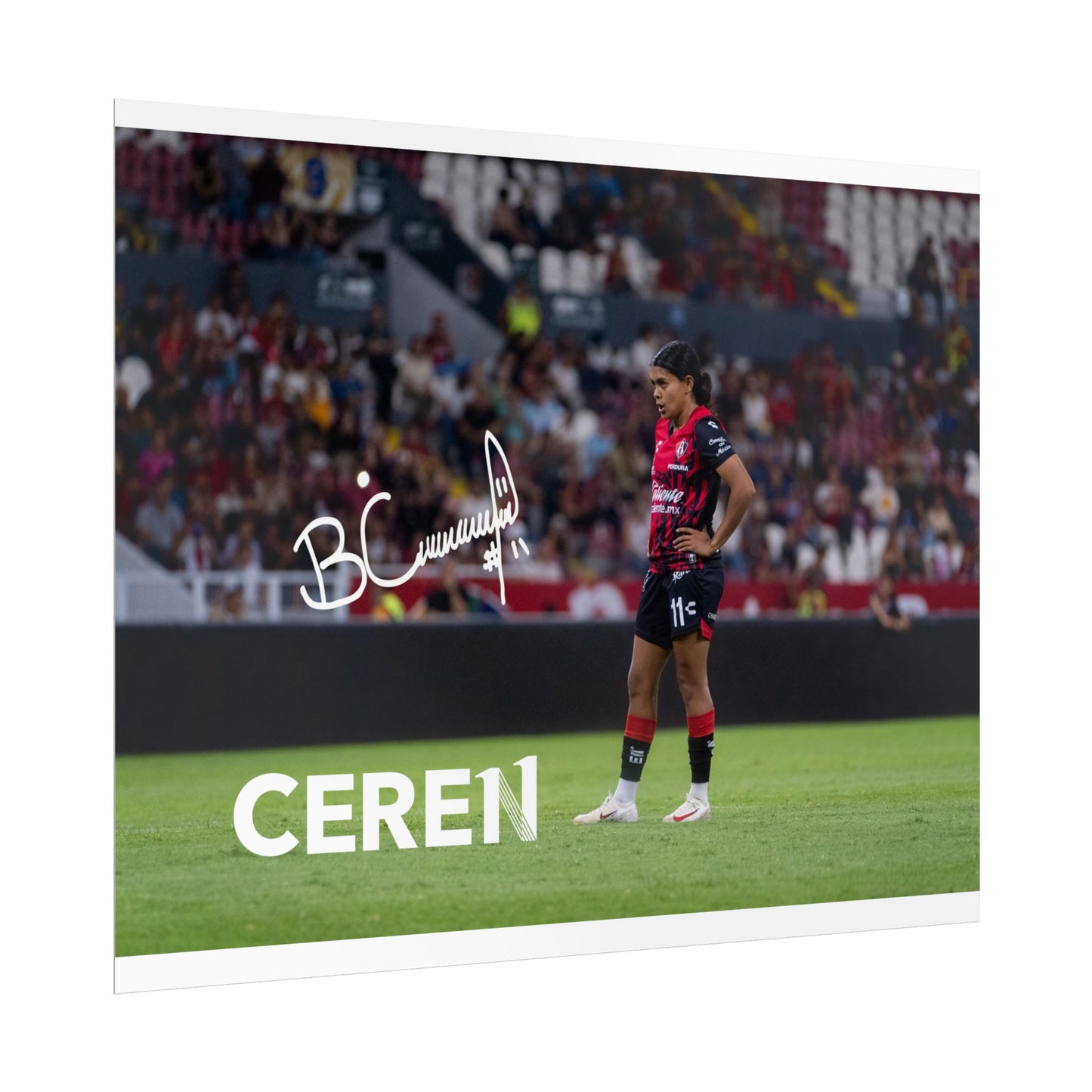 Poster | Motivational Wall Art | CEREN11 | Fan Decor | Unique Gift for Sports Lovers, Collectible Posters, Home Decor