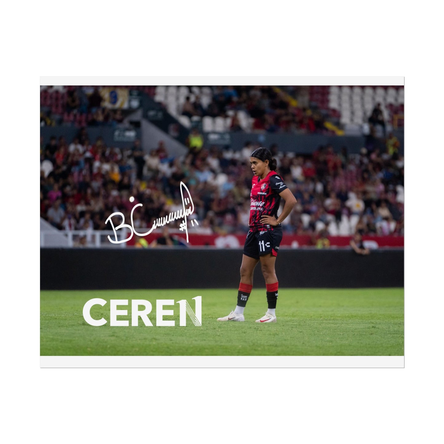 Poster | Motivational Wall Art | CEREN11 | Fan Decor | Unique Gift for Sports Lovers, Collectible Posters, Home Decor
