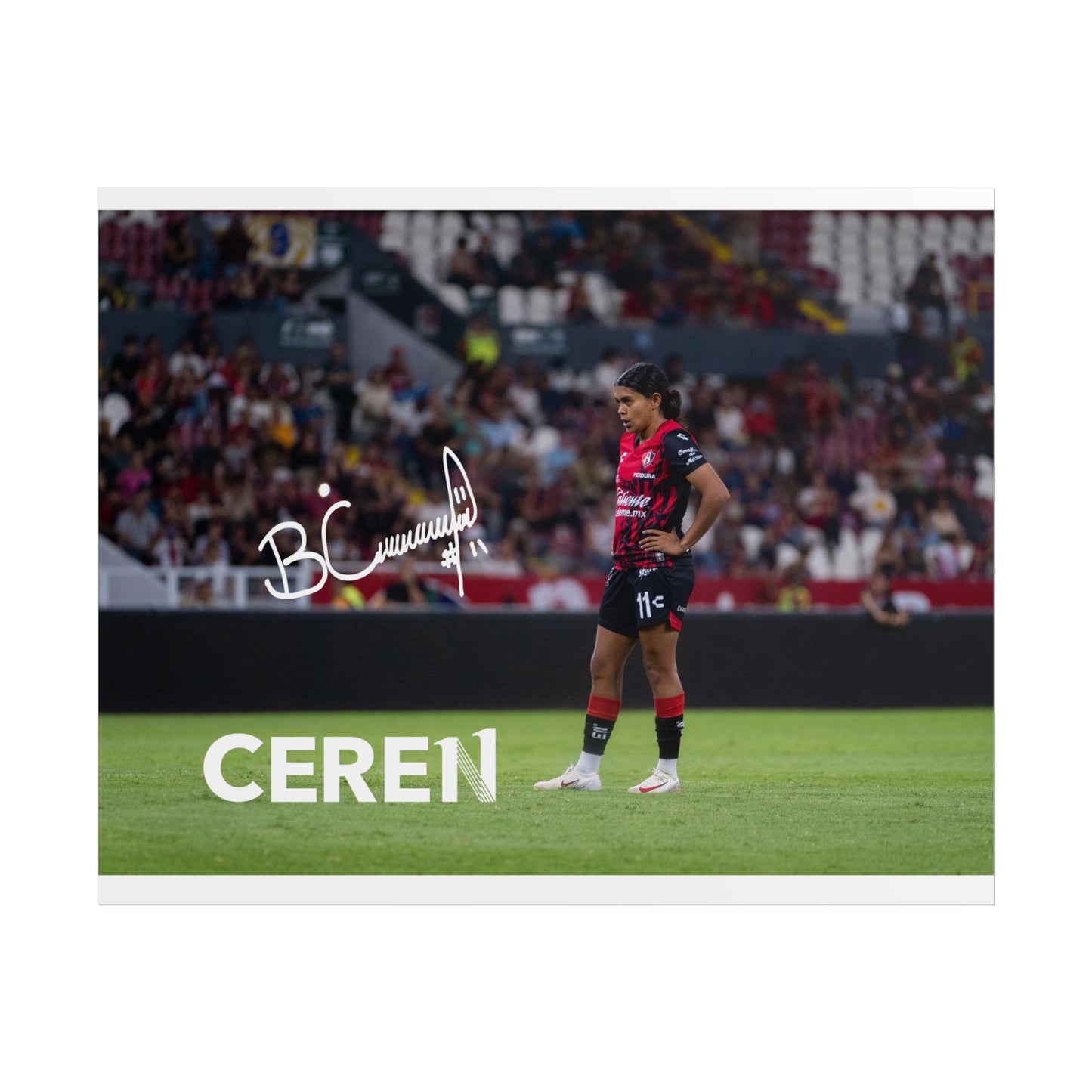 Poster | Motivational Wall Art | CEREN11 | Fan Decor | Unique Gift for Sports Lovers, Collectible Posters, Home Decor