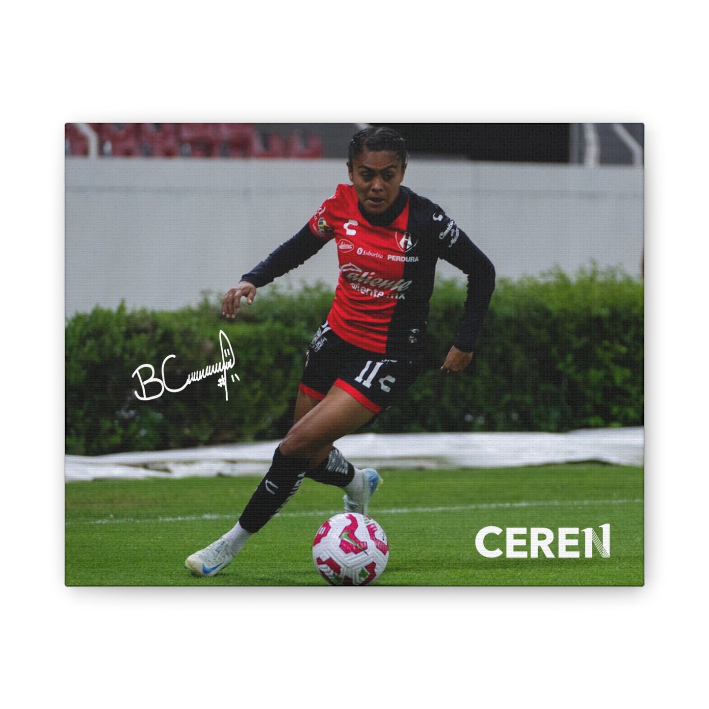Canva - CEREN11 - Cuadro decorativo