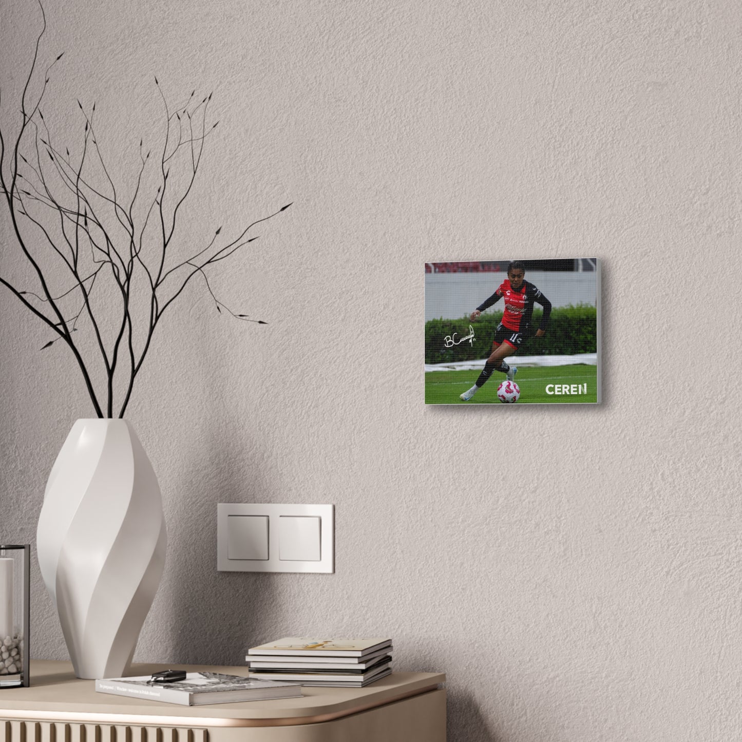 Canva - CEREN11 - Cuadro decorativo