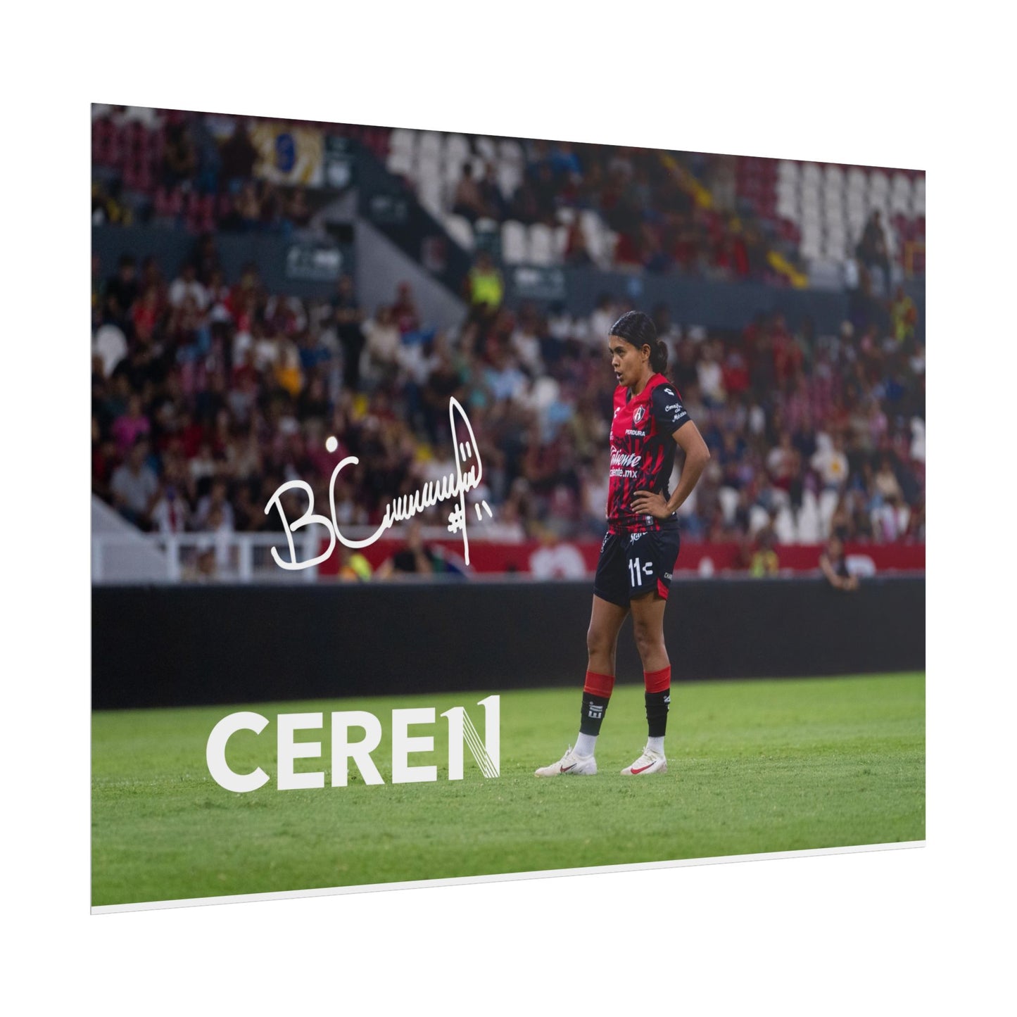 Poster | Motivational Wall Art | CEREN11 | Fan Decor | Unique Gift for Sports Lovers, Collectible Posters, Home Decor