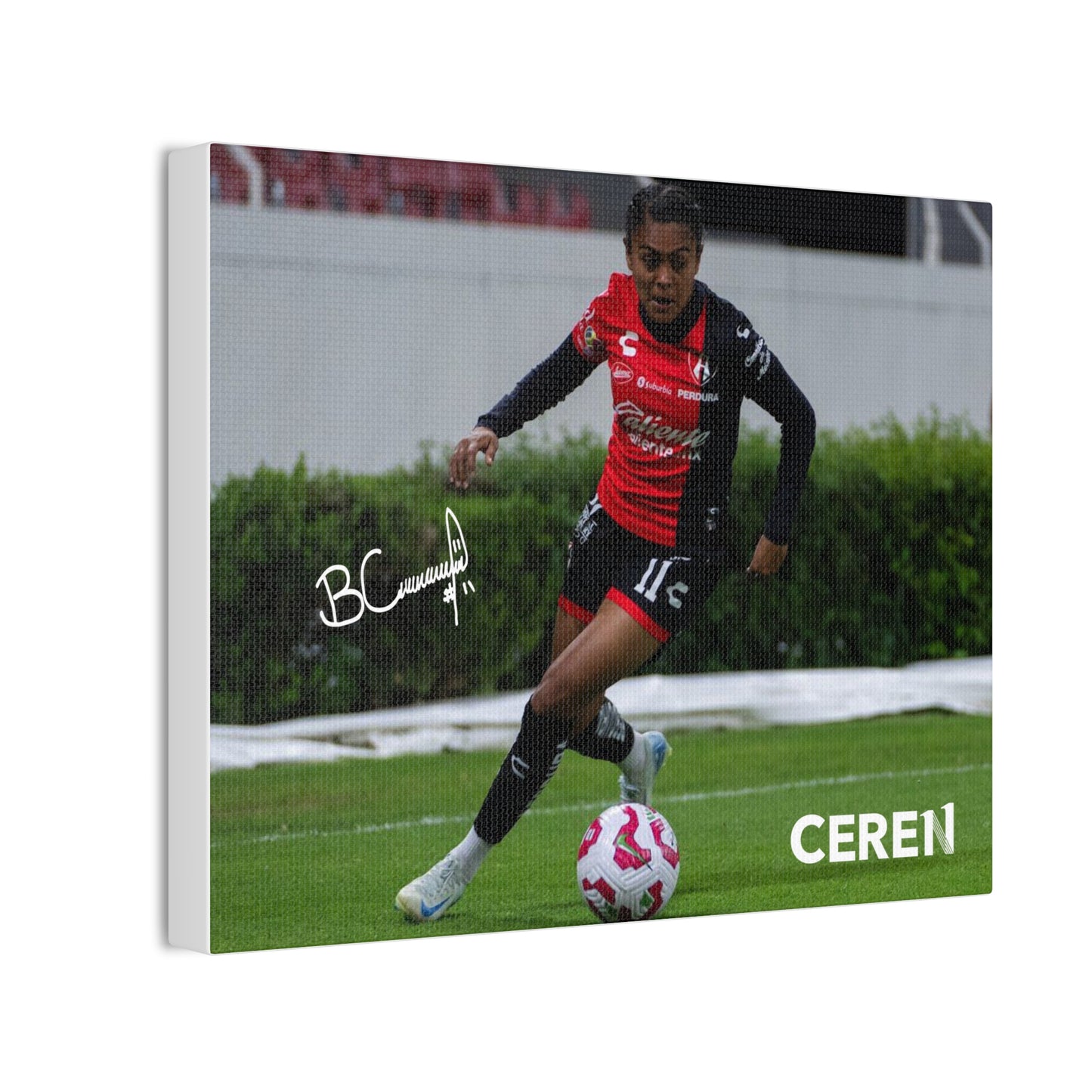 Canva - CEREN11 - Cuadro decorativo
