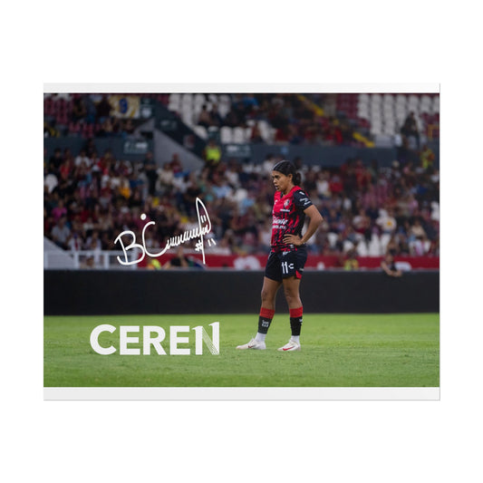 Poster | Motivational Wall Art | CEREN11 | Fan Decor | Unique Gift for Sports Lovers, Collectible Posters, Home Decor
