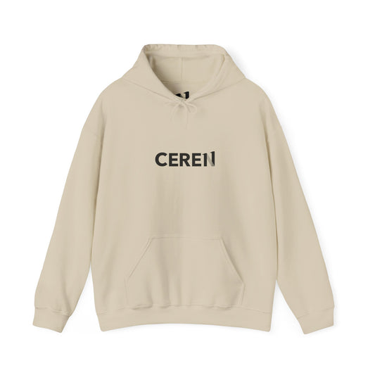 Ceren - Con pasión y disciplina - Motivational Hoodie - Unisex Heavy Blend Sweatshirt, Casual Wear, Inspirational Apparel