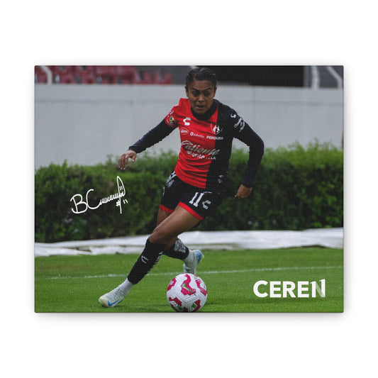 Canva - CEREN11 - Cuadro decorativo